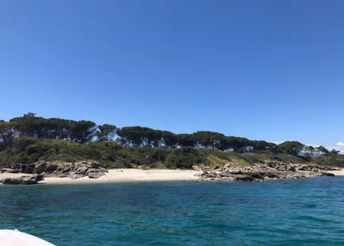 Apartament Appart. / Clim / Piscine / Mer A 300m *